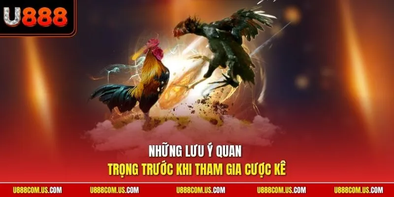 Những lưu ý quan trọng trước khi tham gia cược kê